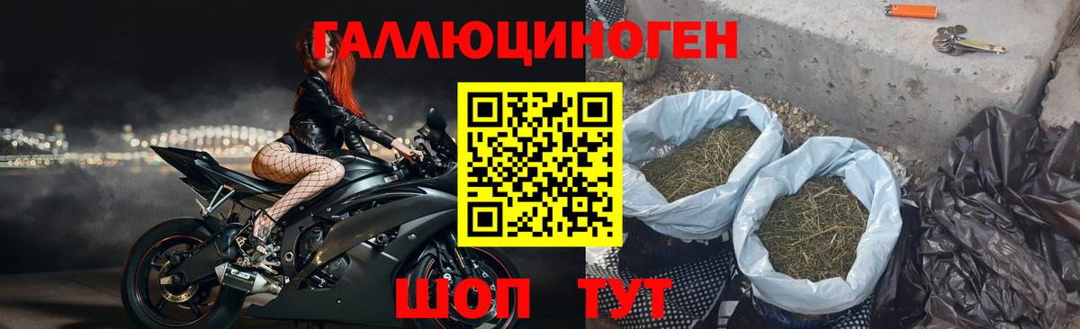 Псилоцибиновые грибы GOLDEN TEACHER Симферополь